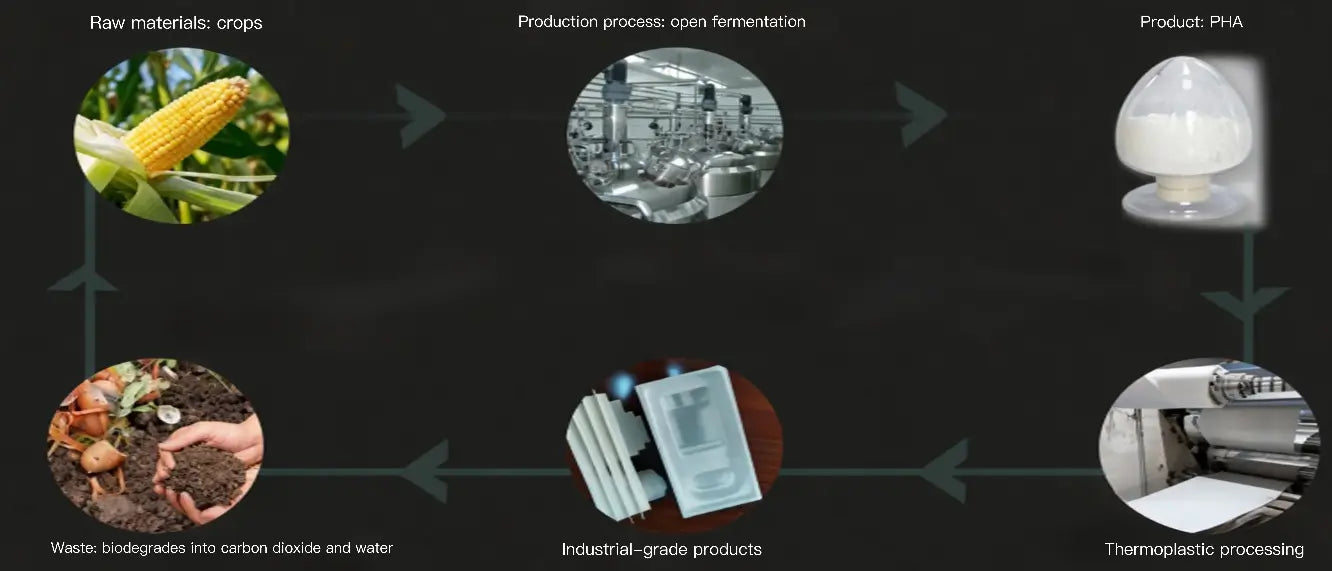PHA Production Process