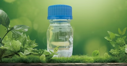 FROM BETA-HYDROXY ACIDS TO PHA
